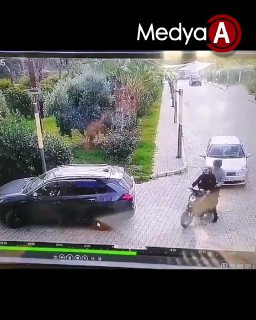 Березовый сок