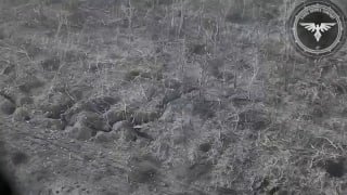 БУТУСОВ ПЛЮС