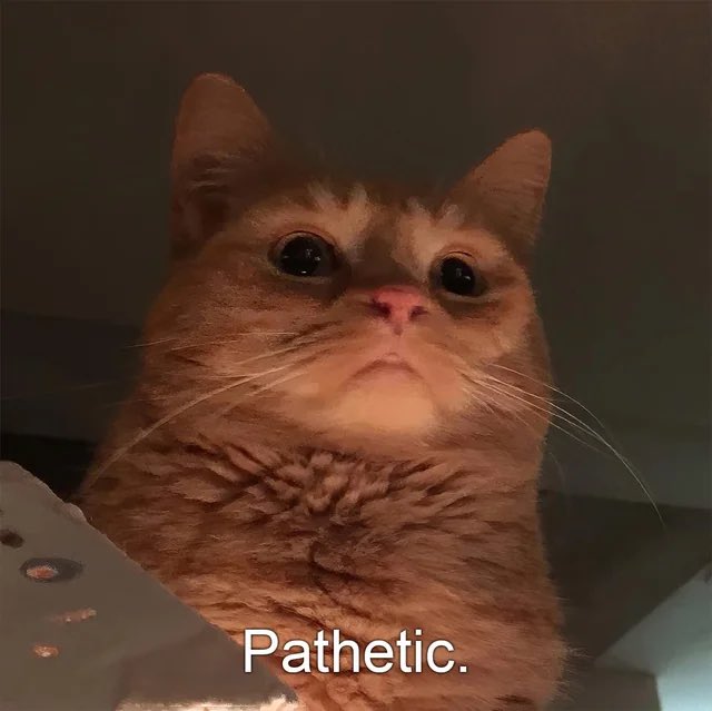 h̶̛̜ḛ̵͝ļ̵̀l̸̹̐ĉ̵̡a̶̢͑t̷͖̿🇺🇦