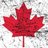 Canada Hates Trump