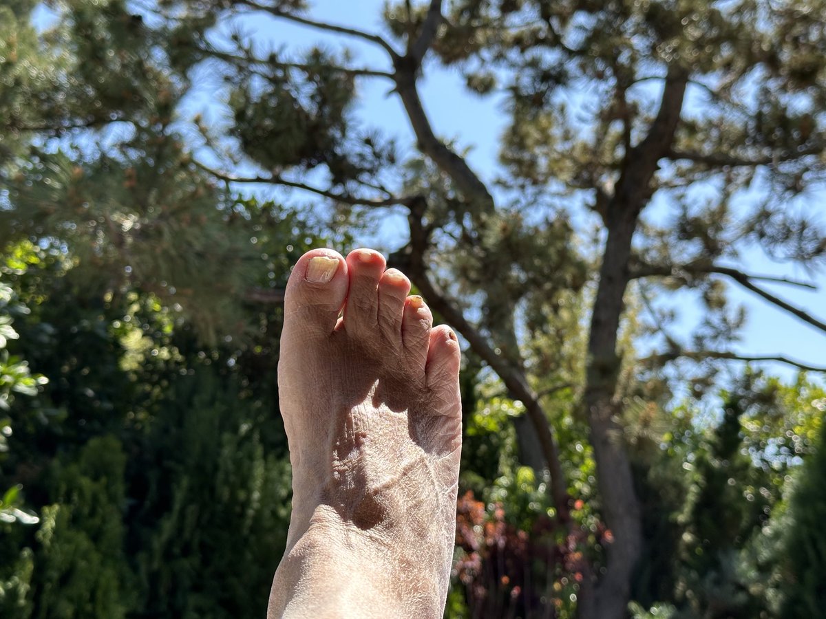 Danny DeVito