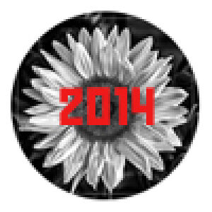 Війна 2014 - War 2014